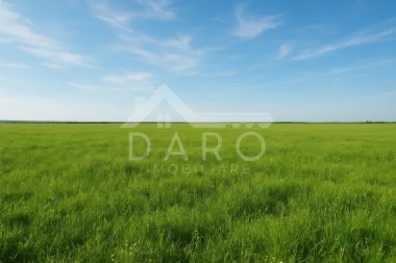 Vanzare de teren agricol in localitatea Voivodeni.