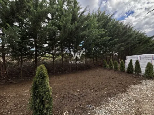 Logo Welhome Imobiliare logo