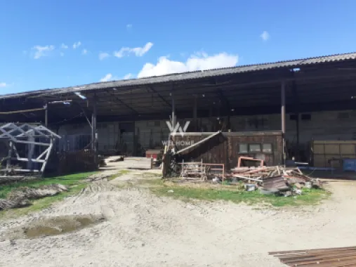 Spatiu industrial-baza depozitare cu cale ferata-Arpasu de Jos - Sibiu
