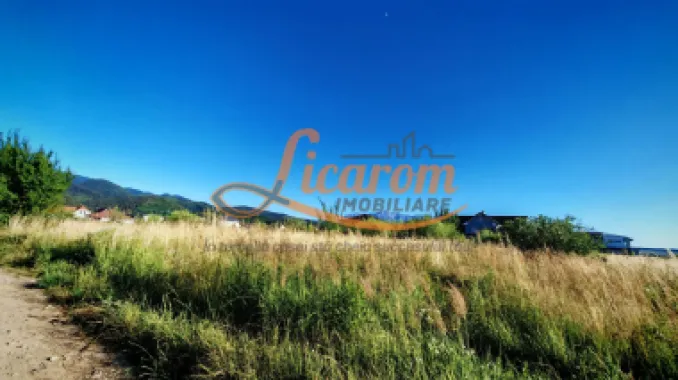 Logo Licarom Imobiliare logo