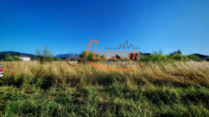 Teren intravilan 1000 mp pt construcții case Cristian str Nisipului