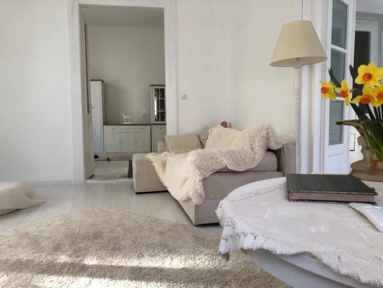 BRASADAS vinde ap 3 cam PARTER INALT zona ULTRACENTRALA. - Agenția imobiliara BRASADAS vinde apartament cu 3 camere la PARTER în zona ULTRACENTRALA cu suprafata utila de 125 mp. Www.brasadas.com. }}