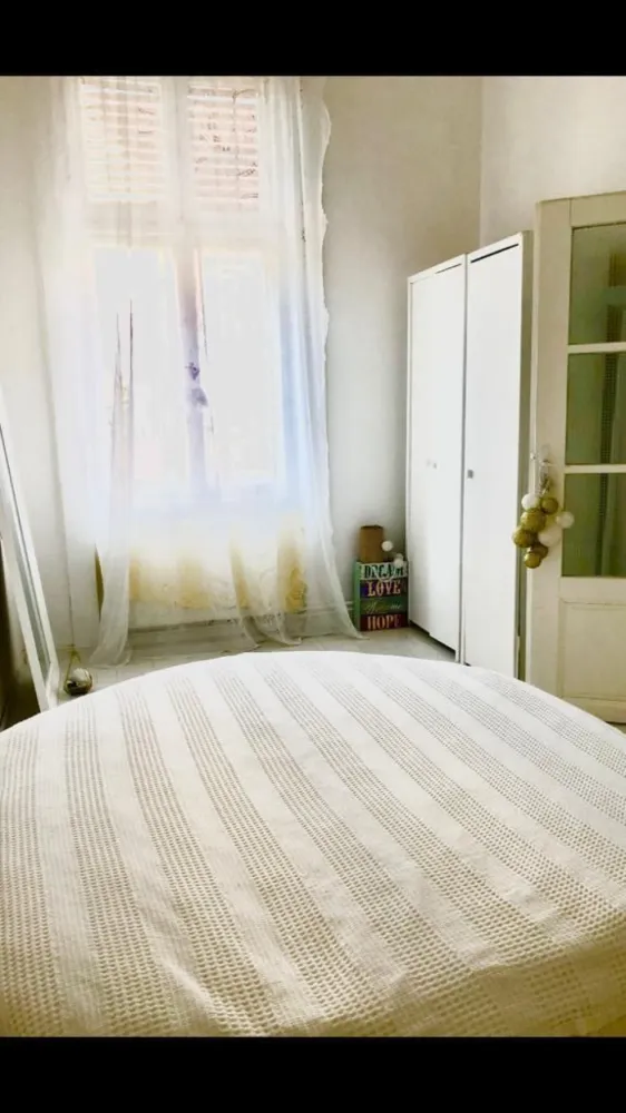 BRASADAS vinde ap 3 cam PARTER INALT zona ULTRACENTRALA. - Agenția imobiliara BRASADAS vinde apartament cu 3 camere la PARTER în zona ULTRACENTRALA cu suprafata utila de 125 mp. Www.brasadas.com. }}