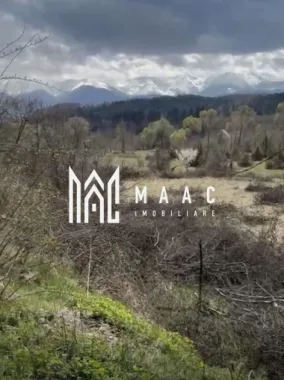 Logo MAAC IMOBILIARE logo