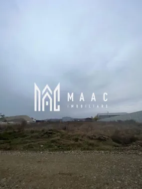 Teren | Budesti | Zona industriala