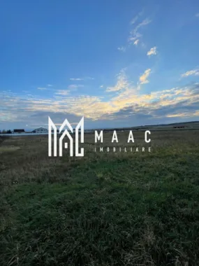 Teren intravilan | 2.100 mp | Șura Mică