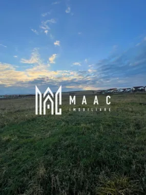 Teren intravilan | 2.100 mp | Șura Mică