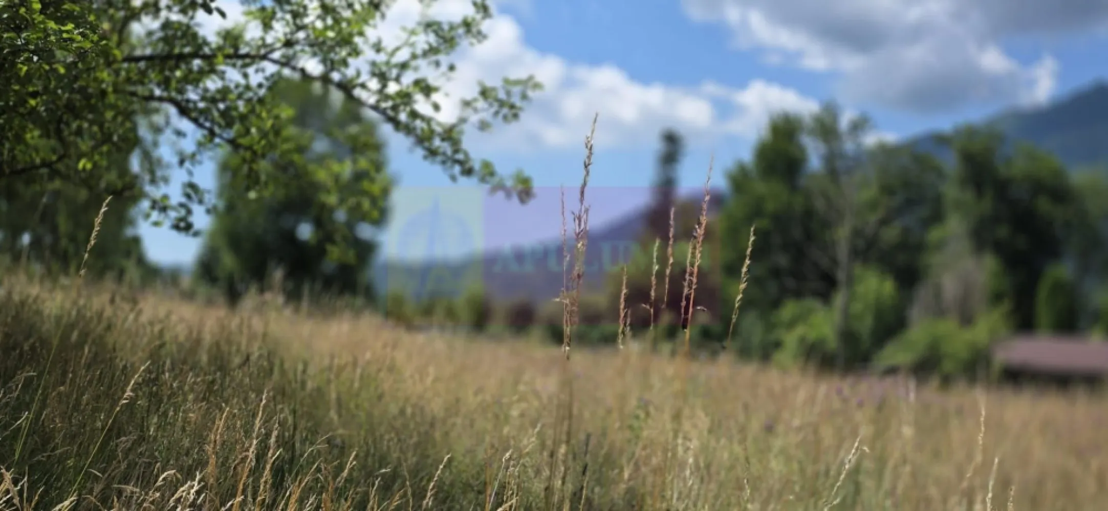 Teren 1000 mp cu view superb in Busteni - Teren intravilan de vânzare în Bușteni – Cartier Zamora | 1.000 mp | Vedere panoramică către Masivul Bucegi

Agenția Imobiliară Mervani vă propune spre vânzare un teren intravilan cu o suprafață de 1.000 mp, situat în prestigiosul cartier Zamora din Bușteni, una dintre cele mai apreciate zone rezidențiale și turistice de pe Valea Prahovei.

Terenul are formă pătrată, oferind o utilizare eficientă pentru dezvoltarea unei vile de vacanță, a unei reședințe permanente sau a unui proiect imobiliar destinat apartamentelor de vacanță. Proprietatea este retrasă de la drumul principal, beneficiind de liniște, intimitate și o priveliște spectaculoasă asupra Masivului Bucegi.

Pe teren există o căsuță din lemn, racordată la rețeaua de apă și la curent electric trifazat. La limita proprietății sunt disponibile toate celelalte utilități:

 gaz natural;
 internet;
 CATV.

Proprietatea dispune de cadastru și Certificat de Urbanism, cu următorii indicatori urbanistici:

 Regim de înălțime: P + 2 Etaje + Mansardă;
 POT: 40%;
 CUT: 1,4.

Acești indicatori permit edificarea unei construcții generoase, ceea ce transformă terenul într-o oportunitate excelentă atât pentru o locuință premium, cât și pentru o investiție în domeniul turistic. Zona Zamora este recunoscută pentru dezvoltările de calitate și pentru interesul crescut al investitorilor în apartamente și vile de vacanță.
Avantaje:

 Teren intravilan de 1.000 mp;
 Formă pătrată, ideală pentru construire;
 Cartier Zamora – una dintre cele mai căutate zone din Bușteni;
 Vedere panoramică spre Masivul Bucegi;
 Acces facil și poziție retrasă de la drumul principal;
 Căsuță din lemn existentă;
 Apă și curent trifazat pe proprietate;
 Gaz, internet și CATV la limita terenului;
 Cadastru și Certificat de Urbanism disponibile;
 Ideal pentru vilă de vacanță, reședință permanentă sau dezvoltare imobiliară.

Pentru informații suplimentare și programarea unei vizionări:

Agenția Imobiliară Mervani
0729 935 536