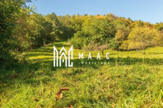 Logo MAAC IMOBILIARE logo