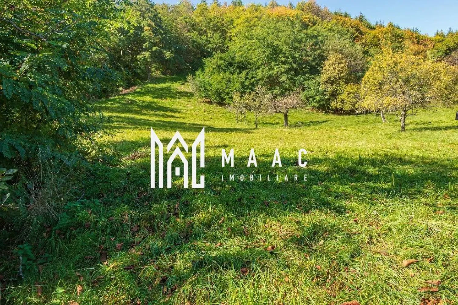 Teren | Intravilan | 2439 MPU | Fântânele - MAAC Imobiliare vă propune spre vânzare un teren intravilan în suprafață de 2439 mp, situat în Fântânele, Sibiu, într-o zonă liniștită, aproape de sat și de pădure. Proprietatea se remarcă prin cadrul natural deosebit și poziționarea excelentă, fiind ideală pentru construcția unei locuințe permanente sau a unei case de vacanță. Detalii teren: • suprafață totală: 2439 mp • teren aproximativ 75% drept, ideal pentru construcție • diferență ușoară de nivel în partea superioară, cu deschidere spre liziera pădurii • oferă priveliște și intimitate • amplasat la marginea zonei locuite Cadru natural și avantaje: • vecinătate directă cu pădurea • zonă aerisită, liniștită, fără aglomerație • ideal pentru relaxare și locuire în natură • fir natural de apă pentru drenaj (avantaj pentru scurgerea apei) Acces: • deschidere la drum conform hărții cadastrale • acces pe drum natural (neamenajat în prezent) Utilități: • curent, gaz și canalizare la aproximativ 500 m Acte: • carte funciară • liber de sarcini Pentru mai multe detalii sau pentru programarea unei vizionări, vă rugăm să ne contactați și să menționați ID: CP3033599 }}