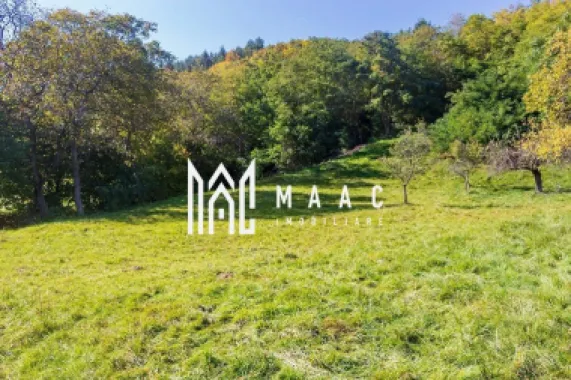 Teren | Intravilan | 2439 MPU | Fântânele