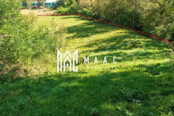 Teren | Intravilan | 2439 MPU | Fântânele