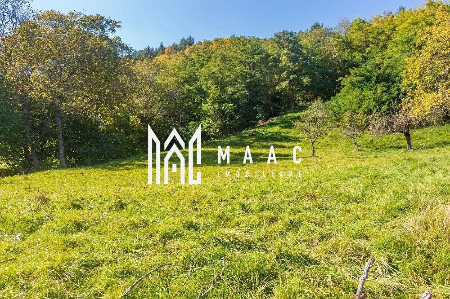 Teren | Intravilan | 2439 MPU | Fântânele