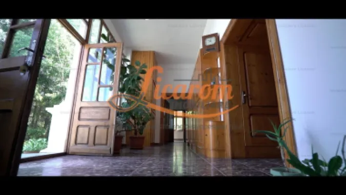 Oferta Conac boieresc P+M,teren 20400 mp