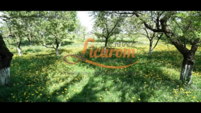 Oferta Conac boieresc P+M,teren 20400 mp