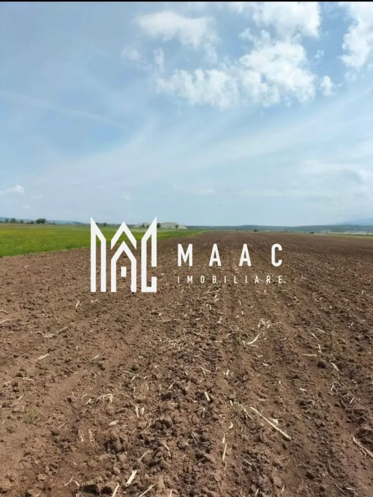 Teren | Extravilan | Oportunitate Investiție | 10 000 MP | Bradu - MAAC Imobiliare vă propune spre vânzare un teren extravilan în suprafață de 10.000 mp, situat în localitatea Bradu, ce reprezintă o oportunitate clară de investiție. Terenul este înregistrat în Cartea Funciară ca arabil, fiind amplasat într-un cadru natural liniștit, care se bucură de o vedere panoramică deosebită și o perspectivă directă către munți. Date tehnice și avantaje: Suprafață: 10.000 mp (arabil), o suprafață generoasă care permite diverse strategii de investiție pe termen lung. Front stradal: Proprietatea beneficiază de o deschidere de 25 de metri liniari. Rețelele de utilități sunt disponibile în proximitate, un aspect esențial pentru viabilitatea terenului. Poziționarea oferă un mediu aerisit și liniștit, cu o panoramă montană autentică. Perspective de investiție conform Certificatului de Urbanism: Acest teren reprezintă o soluție potrivită pentru cei care caută o suprafață mare de teren arabil cu potențial de transformare, într-o zonă care își păstrează caracterul natural. Pentru vizionări sau mai multe detalii ,contactați-ne și specificați codul de identificare al proprietății ID: CP3035409 }}