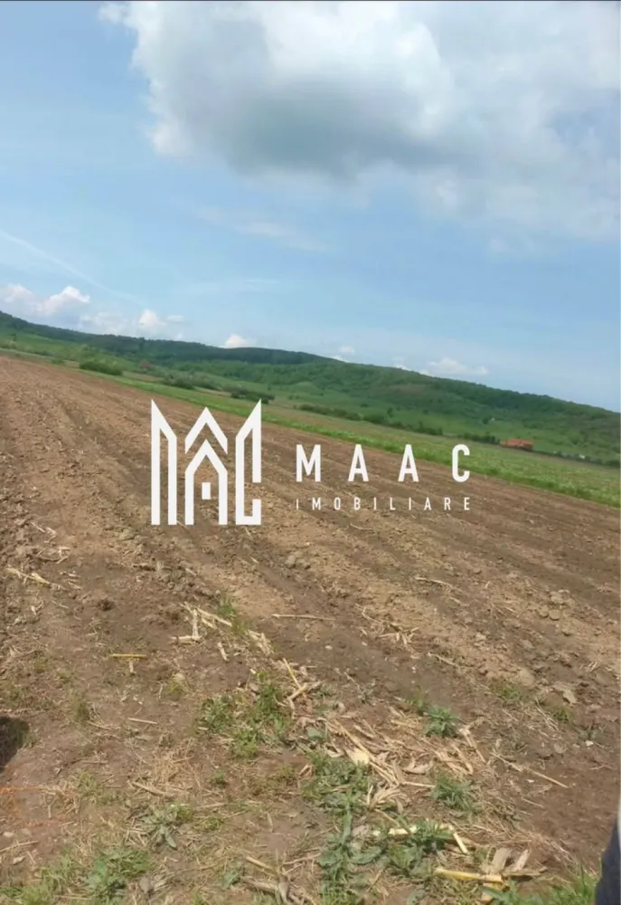 Teren | Extravilan | Oportunitate Investiție | 10 000 MP | Bradu - MAAC Imobiliare vă propune spre vânzare un teren extravilan în suprafață de 10.000 mp, situat în localitatea Bradu, ce reprezintă o oportunitate clară de investiție. Terenul este înregistrat în Cartea Funciară ca arabil, fiind amplasat într-un cadru natural liniștit, care se bucură de o vedere panoramică deosebită și o perspectivă directă către munți. Date tehnice și avantaje: Suprafață: 10.000 mp (arabil), o suprafață generoasă care permite diverse strategii de investiție pe termen lung. Front stradal: Proprietatea beneficiază de o deschidere de 25 de metri liniari. Rețelele de utilități sunt disponibile în proximitate, un aspect esențial pentru viabilitatea terenului. Poziționarea oferă un mediu aerisit și liniștit, cu o panoramă montană autentică. Perspective de investiție conform Certificatului de Urbanism: Acest teren reprezintă o soluție potrivită pentru cei care caută o suprafață mare de teren arabil cu potențial de transformare, într-o zonă care își păstrează caracterul natural. Pentru vizionări sau mai multe detalii ,contactați-ne și specificați codul de identificare al proprietății ID: CP3035409 }}