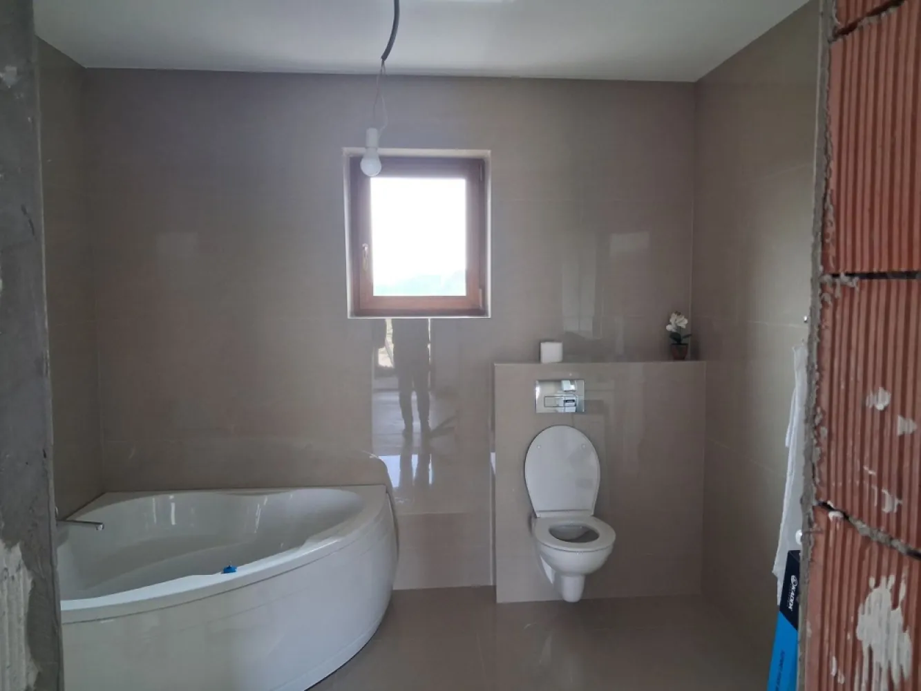 BRASADAS vinde casa individuala NOUA in Balta Blonda.