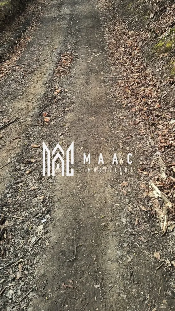 Un colt de rai in Apuseni I viața ca pe vremuri