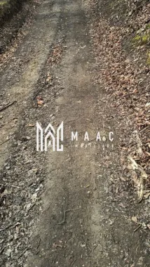 Un colt de rai in Apuseni I viața ca pe vremuri