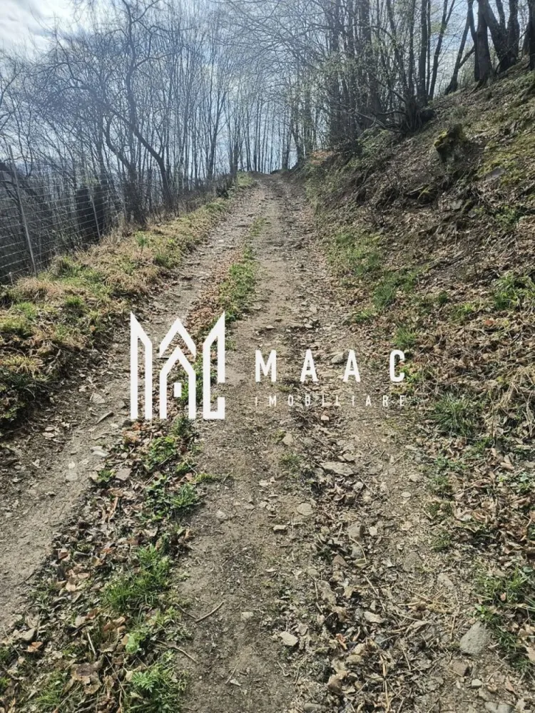 Un colt de rai in Apuseni I viața ca pe vremuri