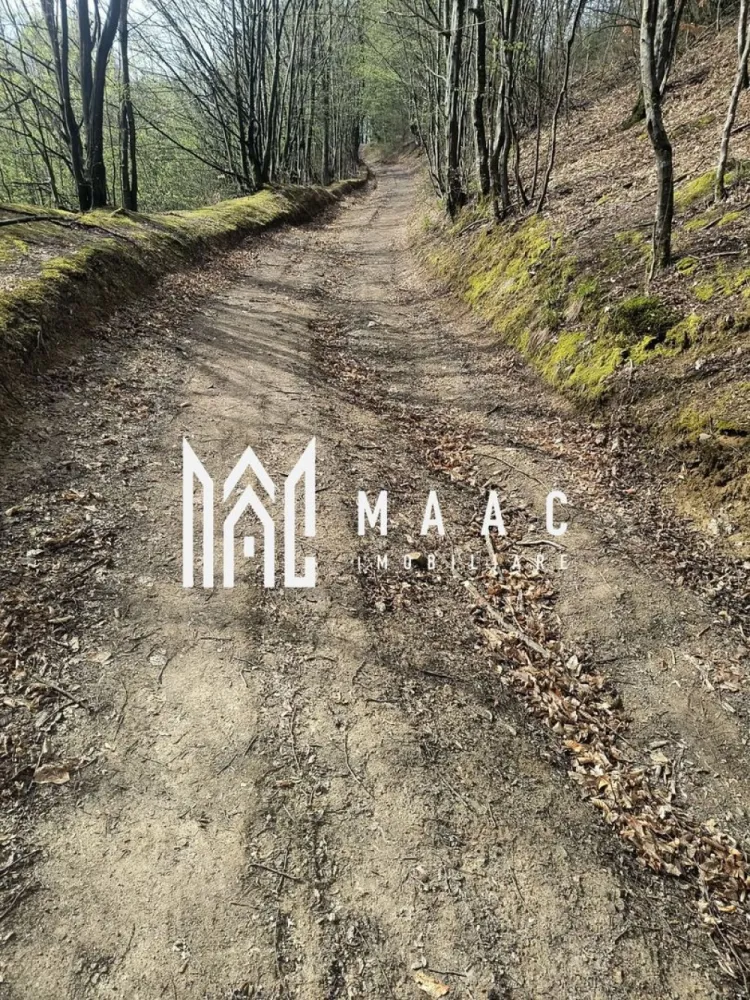 Un colt de rai in Apuseni I viața ca pe vremuri