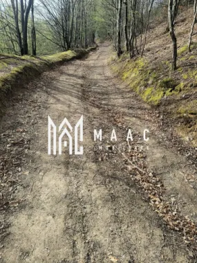 Un colt de rai in Apuseni I viața ca pe vremuri