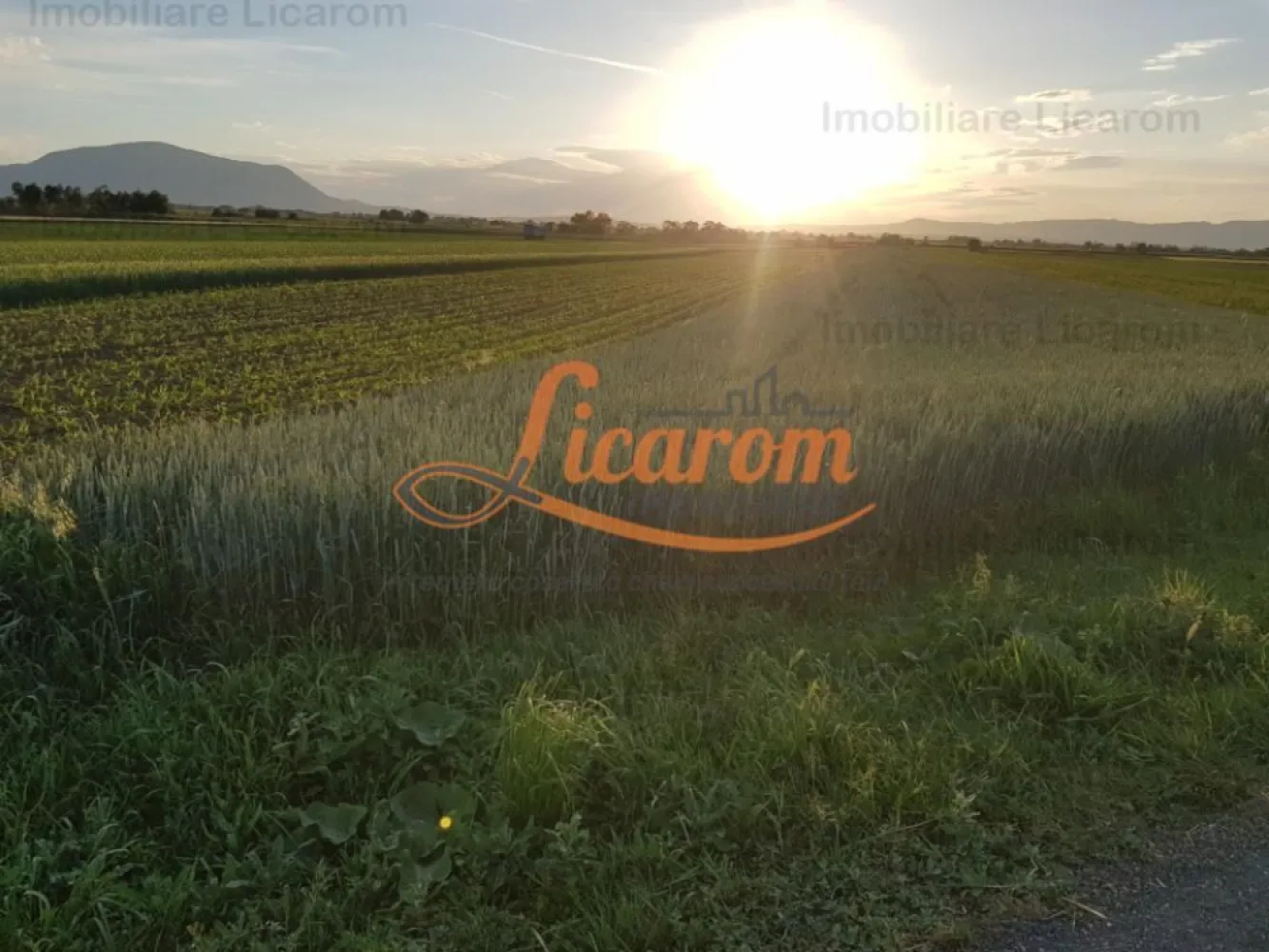 Teren Stupini Calea Feldioarei 4600 mp,21 euro/mp, front la asfalt