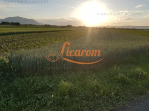 Teren Stupini Calea Feldioarei 4600 mp,21 euro/mp, front la asfalt