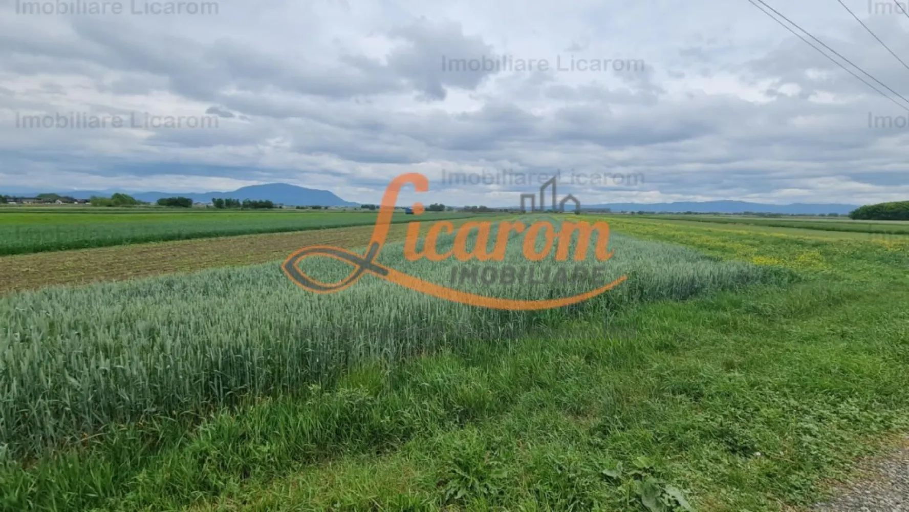 Teren Stupini Calea Feldioarei 4600 mp,21 euro/mp, front la asfalt