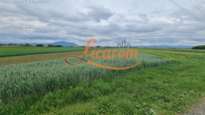 Teren Stupini Calea Feldioarei 4600 mp,21 euro/mp, front la asfalt