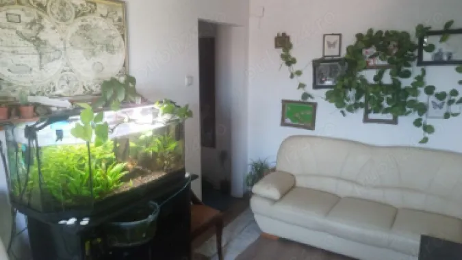 BRASADAS vinde ap w cam etaj 4/4 in Micro 14.