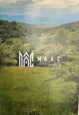 Logo MAAC IMOBILIARE logo