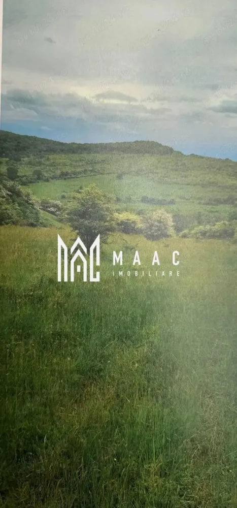 Teren Extravilan I Deschidere 80ml I Zona Gusterita-Sibiu - Se oferă spre vânzare teren extravilan, categoria de folosință pășune, cu o suprafață generoasă de 80.000 mp, situat în zona Cantonului din Gușterița – o zonă cu potențial în creștere. Caracteristici principale: Suprafață: 80.000 mp Deschidere: aproximativ 80 ml la drum pietruit Acces facil – la doar aproximativ 1 km de drumul principal Teren compact, ușor de valorificat Avantaje și potențial: Ideal pentru investiție pe termen mediu și lung Posibilitate de utilizare agricolă sau dezvoltare ulterioară Zonă în dezvoltare, cu perspective de extindere urbană Accesibilitate bună comparativ cu alte terenuri extravilane Localizare: Gușterița – zona Cantonului Locație liniștită, cu acces rapid către oraș O oportunitate pentru investitori care caută suprafețe mari, bine poziționate, cu potențial de creștere în timp. Pentru informati si vizionari: CP2588598 }}