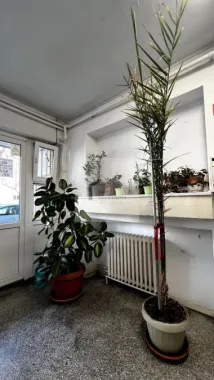 COMISION 0% - Dorobanți - 3 camere -