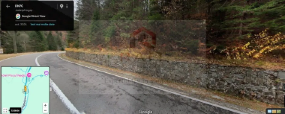 TEREN EXTRAVILAN PADURE PISCUL NEGRU ARGES