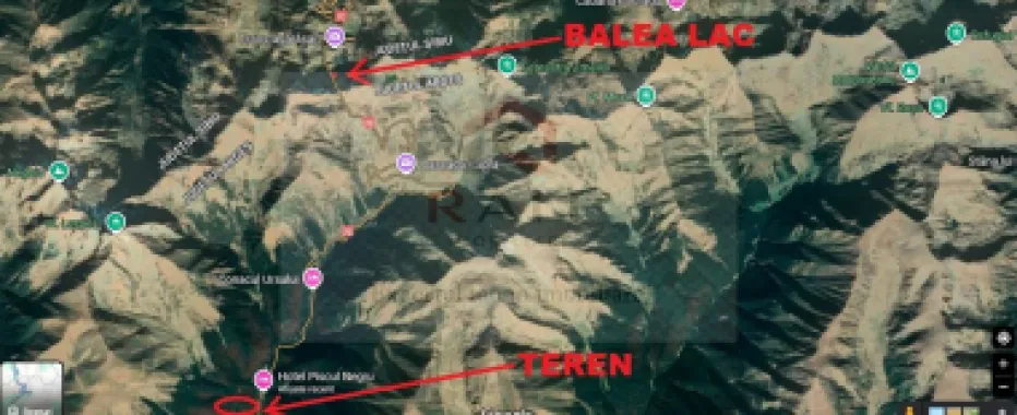 TEREN EXTRAVILAN PADURE PISCUL NEGRU ARGES