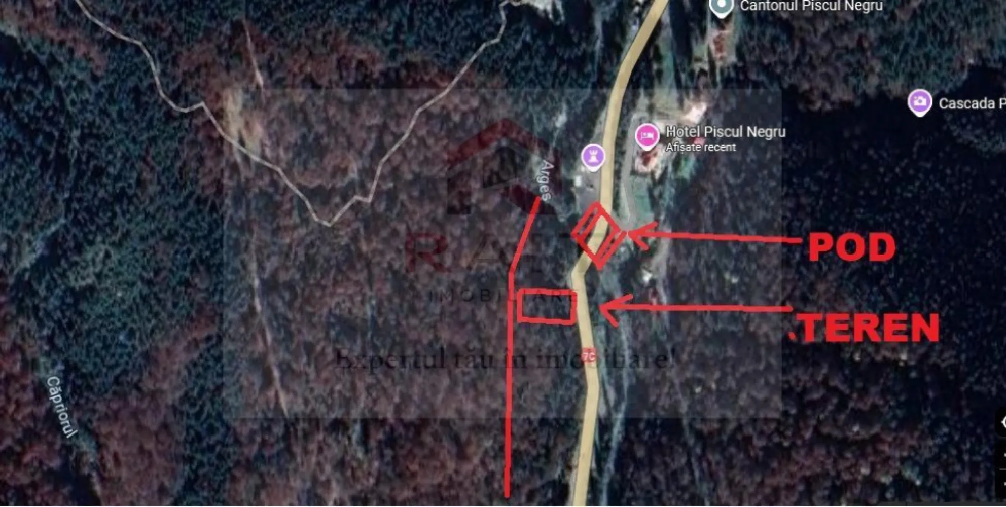 TEREN EXTRAVILAN PADURE PISCUL NEGRU ARGES