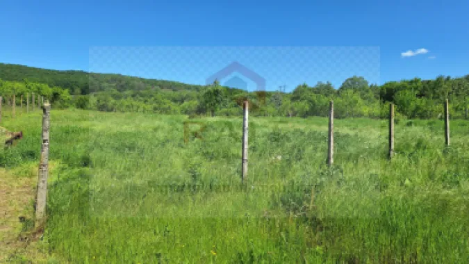 Casa de Vanzare Baiculesti Arges