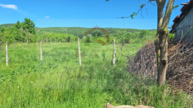 Casa de Vanzare Baiculesti Arges