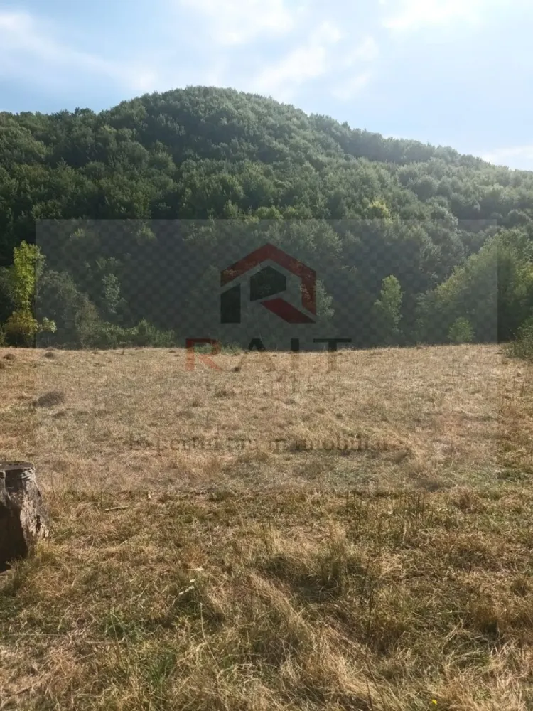 Teren de vanzare Coebeni-Turburea-Arges - Realizarea unui proiect de turism rural, prin transformarea terenului de munte într-o destinație turistică atractivă, cu facilități de camping, trasee de drumeție și activități în aer liber sau dezvoltare agroturistică, evidențiind beneficiile unui stil de viață sănătos și apropierea de natură. }}