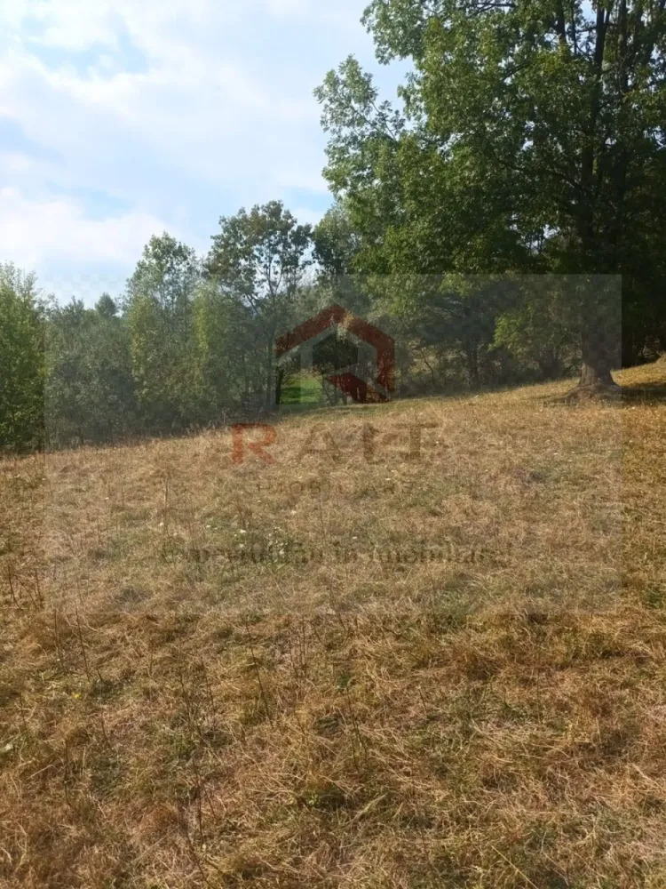 Teren de vanzare Coebeni-Turburea-Arges - Realizarea unui proiect de turism rural, prin transformarea terenului de munte într-o destinație turistică atractivă, cu facilități de camping, trasee de drumeție și activități în aer liber sau dezvoltare agroturistică, evidențiind beneficiile unui stil de viață sănătos și apropierea de natură. }}