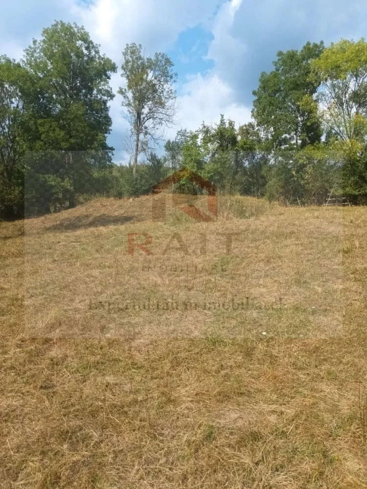 Teren de vanzare Coebeni-Turburea-Arges - Realizarea unui proiect de turism rural, prin transformarea terenului de munte într-o destinație turistică atractivă, cu facilități de camping, trasee de drumeție și activități în aer liber sau dezvoltare agroturistică, evidențiind beneficiile unui stil de viață sănătos și apropierea de natură. }}