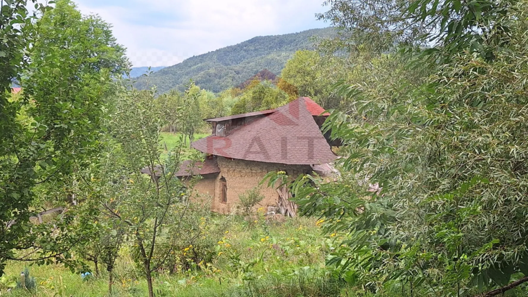 VANZARE ANSAMBLU CASUTE BRADULET ARGES - Situată pe valea Vâlsanului, într-o zonă pitorească de dealuri retrase, această proprietate impresionantă se află la doar 10 km de munții Făgăraș. Proprietatea cuprinde două cabane din lemn și o casă ecologică de COB, totalizând aproximativ 210 mp de suprafață construită, conform documentelor oficiale. *Cabanele de lemn:* - Fiecare cabană este construită din scânduri de brad, cu dimensiuni de 3,5 m lungime și 4 cm grosime, îmbinate în stil lego. - Suprafața utilă totală: 40 mp (20 mp la parter și 20 mp în podul mansardat). - Alimentate cu energie electrică prin panouri solare și apă potabilă din fântâna aflată la 10 m distanță. - Podul mansardat, extins cu un balcon, poate fi utilizat ca spațiu de joacă sau de relaxare pentru copii. *A doua cabană de lemn:* - Suprafață utilă: 40 mp, cu pereți dublați și izolați cu vată minerală. - Pod mansardat mobilat și balcon mare, asigurând un confort optim atât vara cât și iarna. - Grup sanitar exterior, cu WC și duș, alimentat cu apă de la fântână. *Casa ecologică de COB:* - Parterul are o suprafață de 70 mp și cuprinde: un antreu spațios, un salon de 50 mp cu bucătărie open-space, cămară mare, baie, duș și o cameră pentru mașina de spălat. - Apartament la parter cu dormitor, totalizând 20 mp. - Etajul de 60 mp, izolat cu vată minerală, are două dormitoare decomandate și un dressing, fiecare având ieșire spre pădure prin uși de termopan. *Terenul:* - Suprafață totală: 2700 mp, având formă de litera "L" și o deschidere de 60 m. - Proprietatea este situată într-o căldare naturală, denumită Luncă, străjuită de pădure în partea superioară și de pășuni și livezi lateral. - Trei lacuri mari și șase lacuri mai mici se află în fața proprietății, oferind un peisaj deosebit și oportunități pentru activități recreative. - Livadă de pomi fructiferi, incluzând nuci, meri, pruni, piersici și altele. Această proprietate oferă liniște, aer curat și un peisaj magnific, fiind ideală pentru vacanțe relaxante și confortabile. 😊 }}