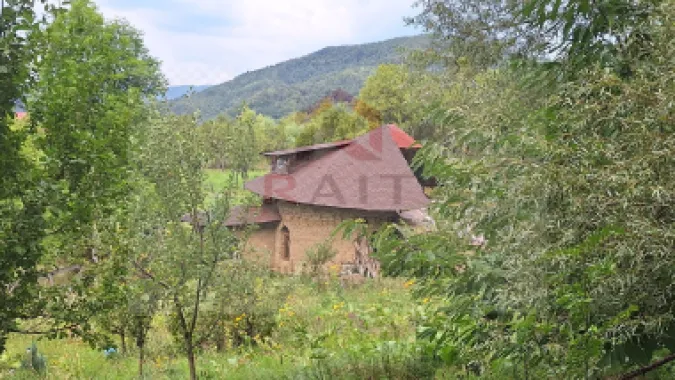 VANZARE ANSAMBLU CASUTE BRADULET ARGES