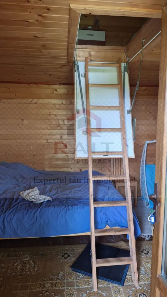 VANZARE ANSAMBLU CASUTE BRADULET ARGES