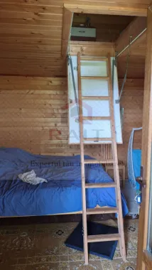 VANZARE ANSAMBLU CASUTE BRADULET ARGES