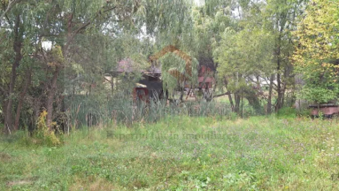 VANZARE ANSAMBLU CASUTE BRADULET ARGES