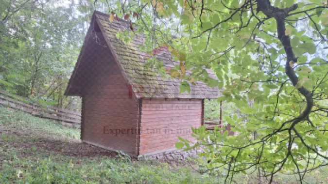 VANZARE ANSAMBLU CASUTE BRADULET ARGES