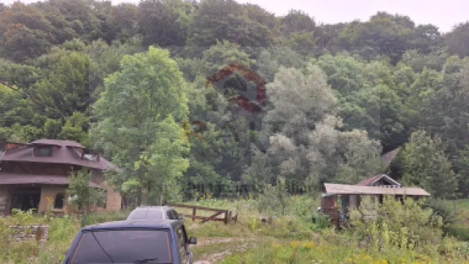 VANZARE ANSAMBLU CASUTE BRADULET ARGES